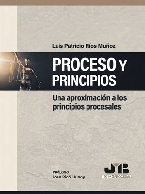 cover image of Proceso y Principios